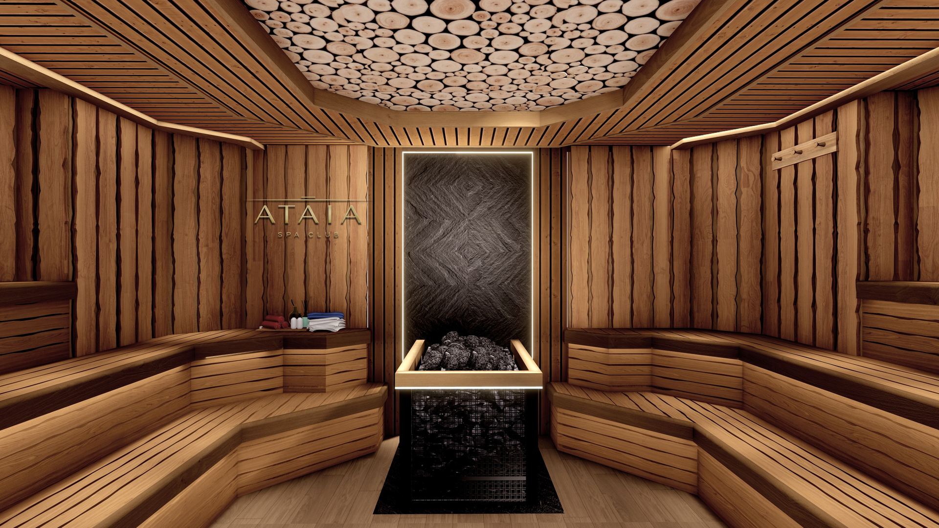 The banya's tiered benches and stove